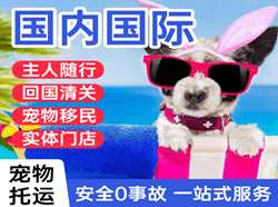 佛山航空快递国际宠物托运 【国